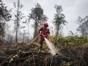 Hotspot Sumsel Turun Jadi 29, Tapi Masih Nomor 2 di 6 Provinsi