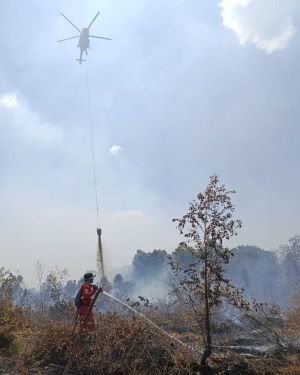 84 Hektare Karhutla Sumsel Masih Ditangani, Menhut Ingatkan Ancaman