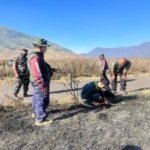 Bromo Terbakar Lagi, Ada yang Sedang Dibongkar di Balik Api