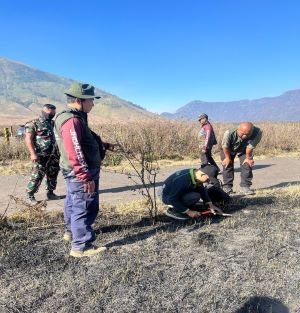 Bromo Terbakar Lagi, Ada yang Sedang Dibongkar di Balik Api