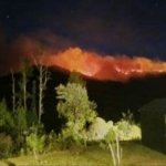 1.888,91 Hektare Semeru Terbakar, Karhutla Jawa Timur Meluas hingga Ijen Ditutup