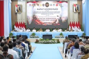 Karhutla 2026 Belum Tuntas, 734 Hektare Masih Terbakar, 138 Orang Jadi Tersangka
