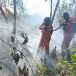 Hotspot Sumsel Tinggal 17, Tapi Sabtu PM2.5 Palembang Tembus 419