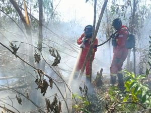 Hotspot Sumsel Tinggal 17, Tapi Sabtu PM2.5 Palembang Tembus 419