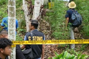 Ganja 2,82 Kg Dibongkar di Jayapura, Modusnya Tak Biasa, Ada yang Dibawa Naik Kapal, Ada yang Ditinggal di Bawah Pot