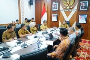 Baru 4,2 Persen Tercatat, Perlinsos Sumsel Butuh 19.343 Agen