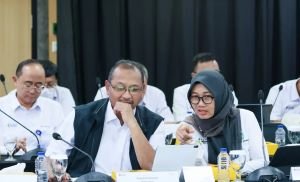 Sebelum Tanam, Jangan Cuma Lihat Harga Pupuk, Ini Data Iklim yang Perlu Dicek Petani