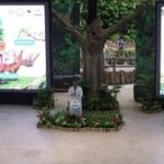Dua Badak Sumatera Bunting Bersamaan, Way Kambas Menanti Kabar Besar