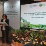 10 Tahun REDD+, Mengapa Perjuangan Menyelamatkan Hutan Belum Usai?