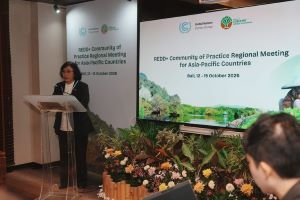 10 Tahun REDD+, Mengapa Perjuangan Menyelamatkan Hutan Belum Usai?