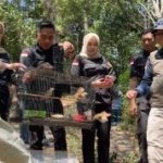 3.578 Burung Diselamatkan, Perdagangan Ilegal Dibongkar!