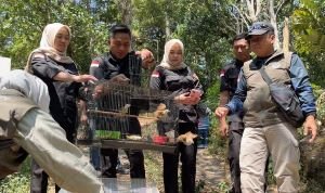 3.578 Burung Diselamatkan, Perdagangan Ilegal Dibongkar!