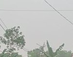 Hujan Singkat Kembali Guyur Kalidoni Palembang