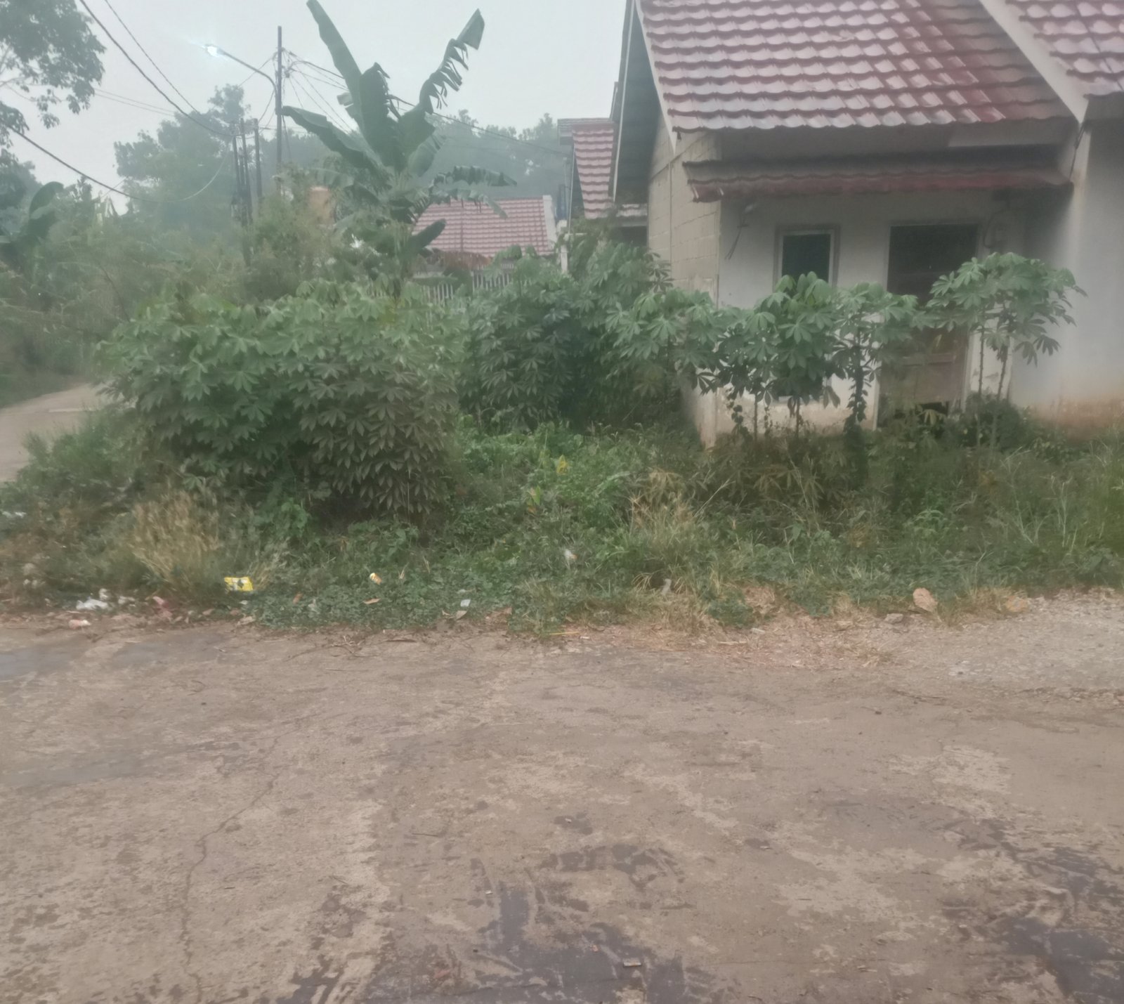 Hujan Turun di Kalidoni, Warga Bersyukur