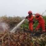 Kabut Asap Palembang Memburuk, 891 Hotspot Sumsel Terdata