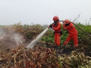 Kabut Asap Palembang Memburuk, 891 Hotspot Sumsel Terdata