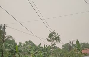 Palembang Siang Ini Bukan Mendung, BMKG Catat Udara Kabur