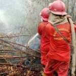 Hujan Guyur Sumsel, Api Karhutla di Lahan Gambut Belum Padam