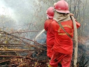 Hujan Guyur Sumsel, Api Karhutla di Lahan Gambut Belum Padam