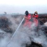 Karhutla dan Upaya Restorasi, Menilik Kembali Peran TRGD