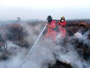 Karhutla dan Upaya Restorasi, Menilik Kembali Peran TRGD