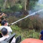 Ada Cairan Khusus dari Brasil untuk Jinakan Karhutla Sumsel, Seberapa Ampuh?