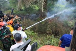Ada Cairan Khusus dari Brasil untuk Jinakan Karhutla Sumsel, Seberapa Ampuh?