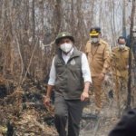 Karhutla Sebangau, Menhut Kerahkan Ekskavator Putus Kepala Api