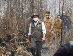 Karhutla Sebangau, Menhut Kerahkan Ekskavator Putus Kepala Api