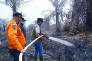 3.500 Hotspot Terdeteksi di Muba, Bayung Lencir Paling Rawan