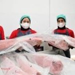 Kampung Nelayan Merah Putih, Produksi Ikan Naik 121%
