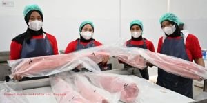 Kampung Nelayan Merah Putih, Produksi Ikan Naik 121%