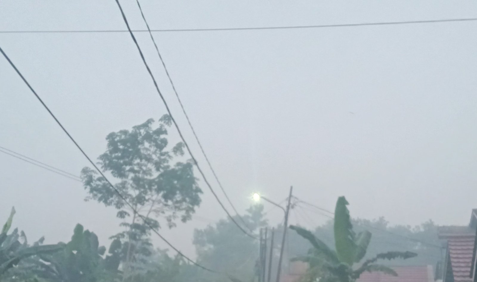 Palembang Belum Cerah, Kabut Asap Bikin Pagi Mendadak Sunyi