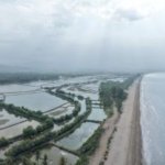 Usaha Perikanan Sumatera Bangkit, 5.729 Hektare Kembali Aktif
